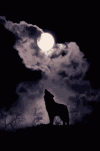 howling-wolf-full-moon.gif