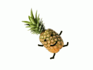 1699354325017.gif