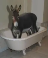 1780431511862.png