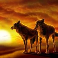 Aylesbury Wolf